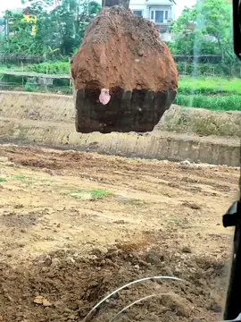 cứ tưởng đào được đồ cổ , hóa ra lại đào được đồ của cổ 