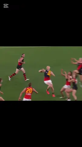 Caddy🕺#essendon#afl#bombers#natecaddy#edit#viral#fyp#capcut  