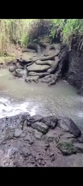 Batu-batu yang terlihat seperti ular raksasa yang membatu di air terjun di Indonesia ini adalah ?  a. Real b.  AI 