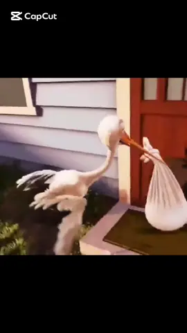 #storkbird #bringingbabyhome #babyboy #family @Sonali Rasali @forever 💖(🥰🧿🥰) @🦚 #movie 