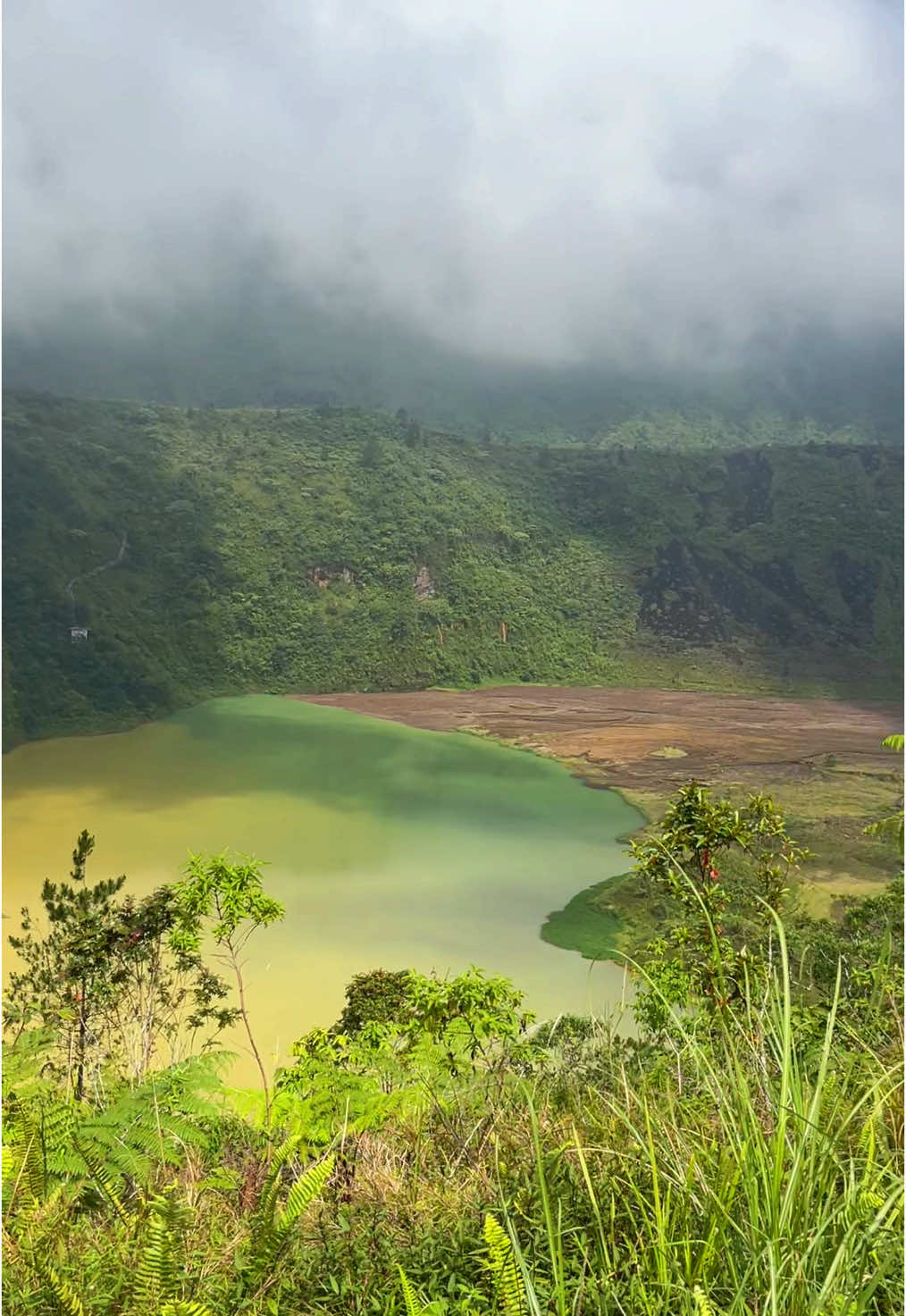 Galunggung 11 Mei 2025, yg di atas pasti lagi dpt lautan awan ☁️🍃 #CapCut #fyppppppppppppppppppppppp #fyp #beranda #healing #nature #galunggung #gununggalunggung #xybca #galunggung_tasikmalaya #gunung #pendaki #tasik 