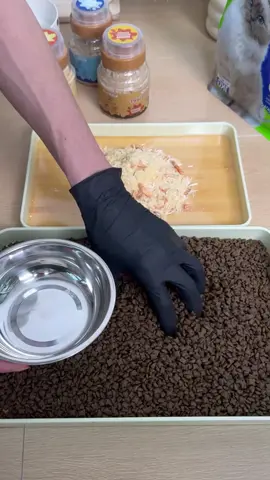 No to chemicals! Oo sa natural na lasa at sustansya ng Folopets!#appetitebooster #pickyeater #catfood #chickencatfood #catsoftiktok #catsnack #freezedried #petfood