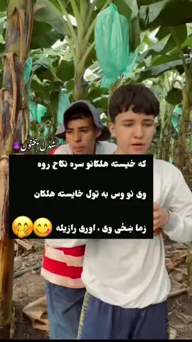 #foryou #foryoupage #100kviews @🇬🇧☛ببر پختون☚🇦🇫 