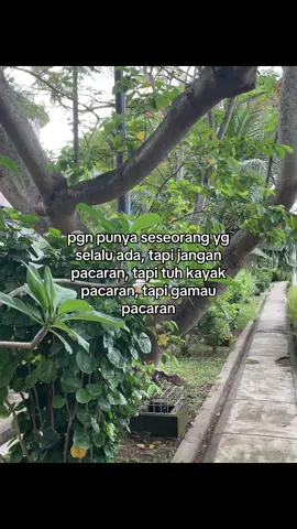 #galaubrutal 