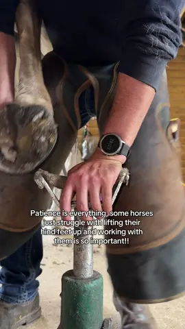 I try my hardest to make sure horses are as comfortable as they can be. It’s not always easy but we do what we can. This video shows the reality that I often edit out.  #forfarriersbyfarriers #fyp #farrier #hoofcare #oddlysatisfying #farriersoftiktok #horse 