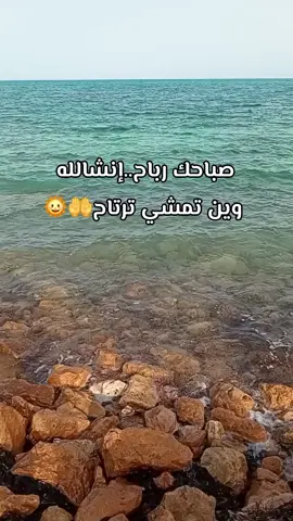 #صباحكم_أحلى_صباح #❤️❤️❤️❤️ #جربة_مدنين_بنقردان_جرجيس_تطاوين #أكسبلوررررررررررر #🇹🇳🇹🇳🇹🇳🇹🇳 