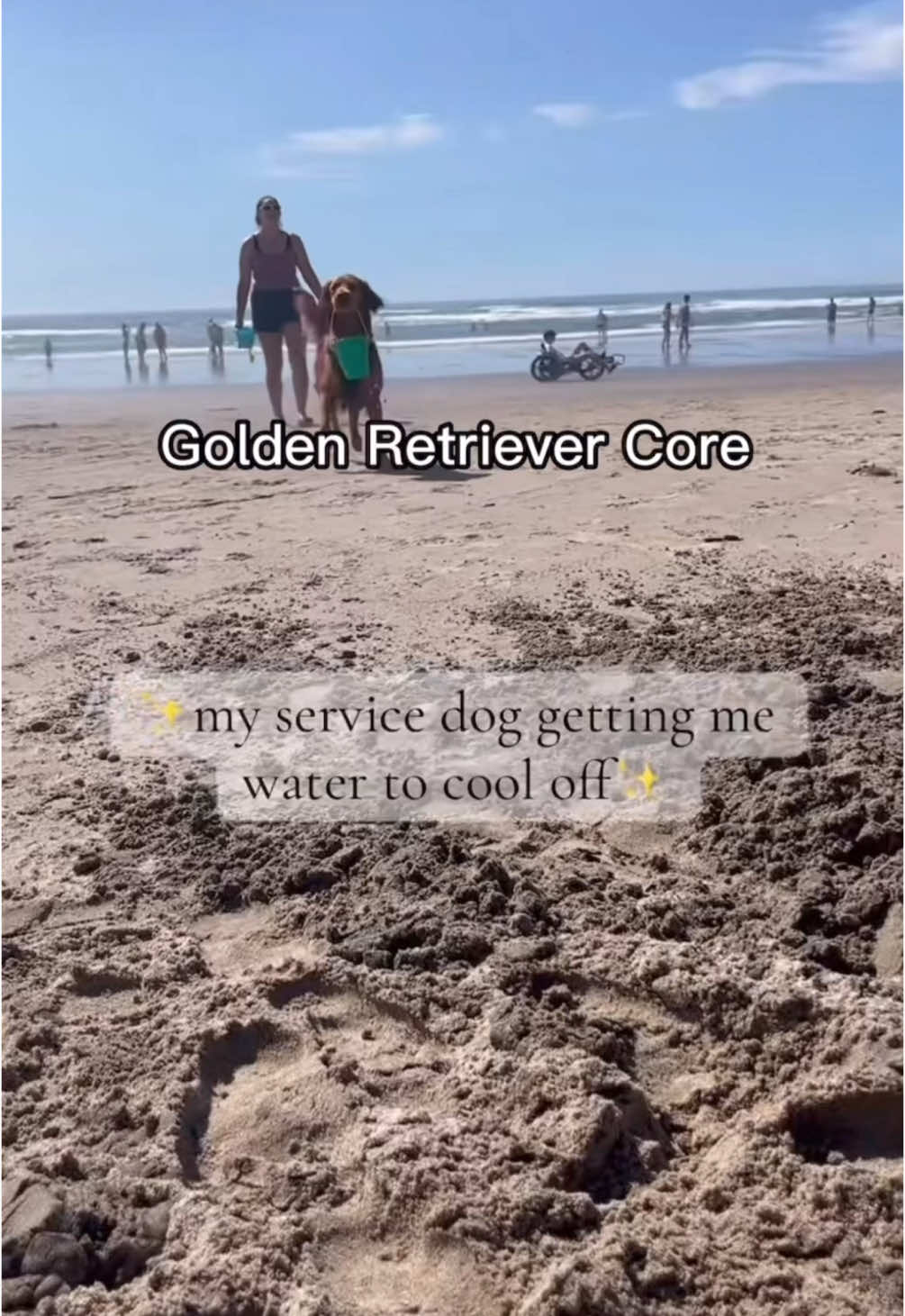 Golden Retriever Core #dog #marley #sweet #funny #cute #fyp #edit #tik_tok #editing #fightclub #tylerdurden #first #rule #pixies #whereismymind 