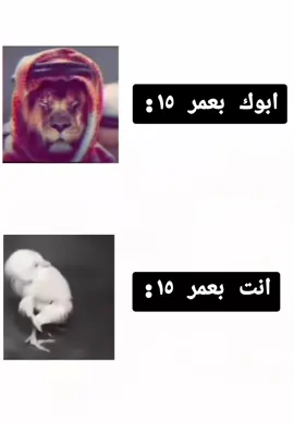 🙃🙃#مالي_خلق_احط_هاشتاقات #zoo6 