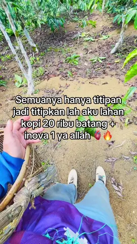 Sungguh titipan yg paling indah 🔥 #petanikopi #petanikopiindonesia #petanimuda #petaniindonesia🇮🇩🇮🇩🇮🇩🌿🌿 