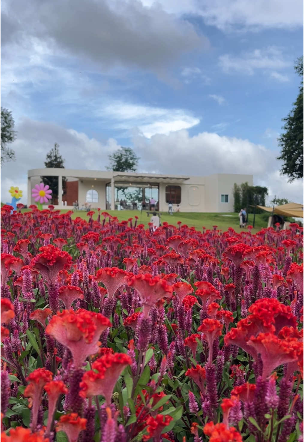 📍Flory Day Cafe,  Khao Yai, Thailand 🇹🇭  Salah satu Cafe cakep yang ada di Khao Yai, kemaren ikut open trip salah satu tujuannya kesini. Khao Yai terkenal dengan cafe cafenya yg cakep.  #travel #jalan #jalanjalan #kemanaajaboleh #thai #thailand #thailand🇹🇭 #khaoyai #khaoyaithailand #explore 