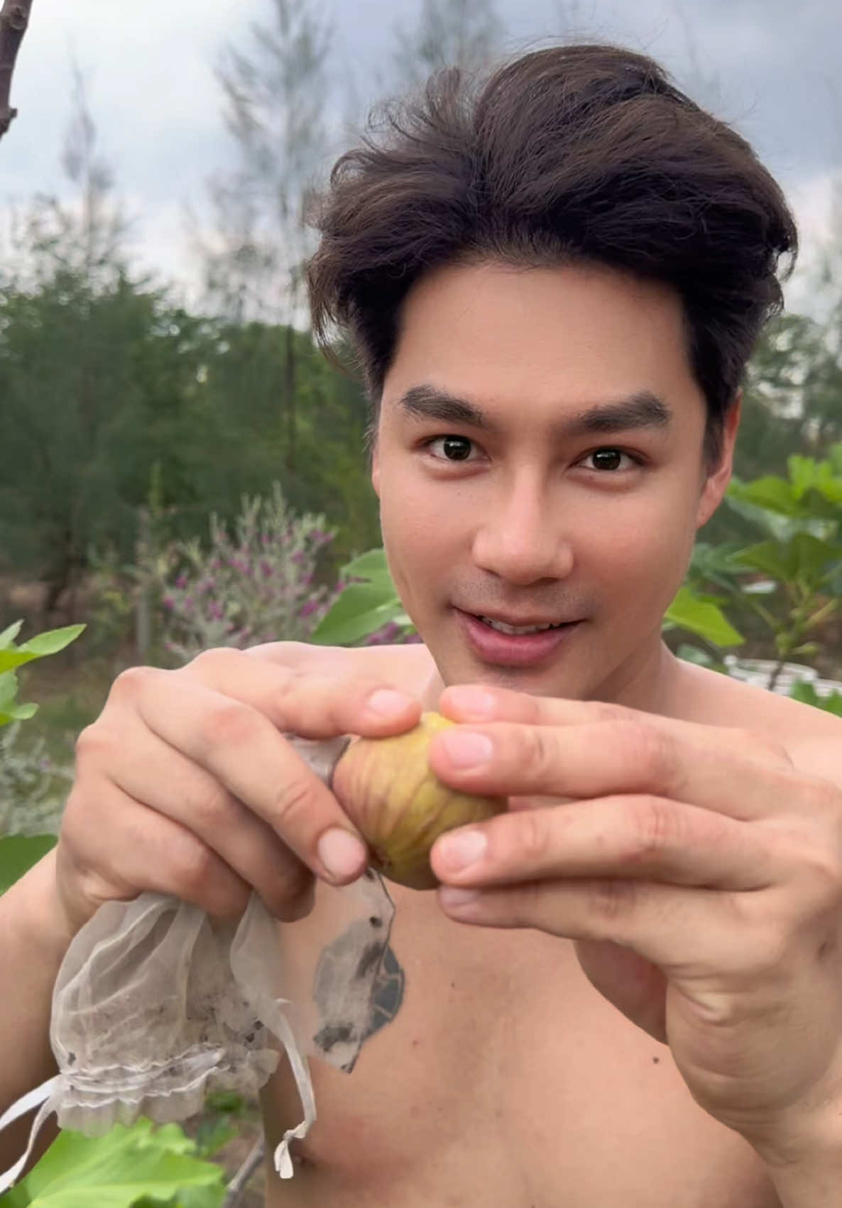 มะเดื่อฝรั่ง หวานฉ่ำ ตัวโปรดประจำสวนเลยครับ #วิถีชาวสวน#มะเดื่อฝรั่ง