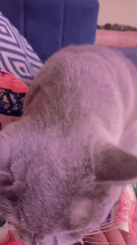 #quoteoftheday #deeplines #foryoupage❤️❤️ #motivation #lifetips #respect #qoutes #videoviral #tabbasam321 