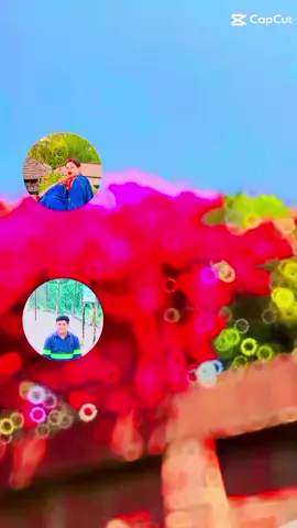 #creatorsearchinsights 