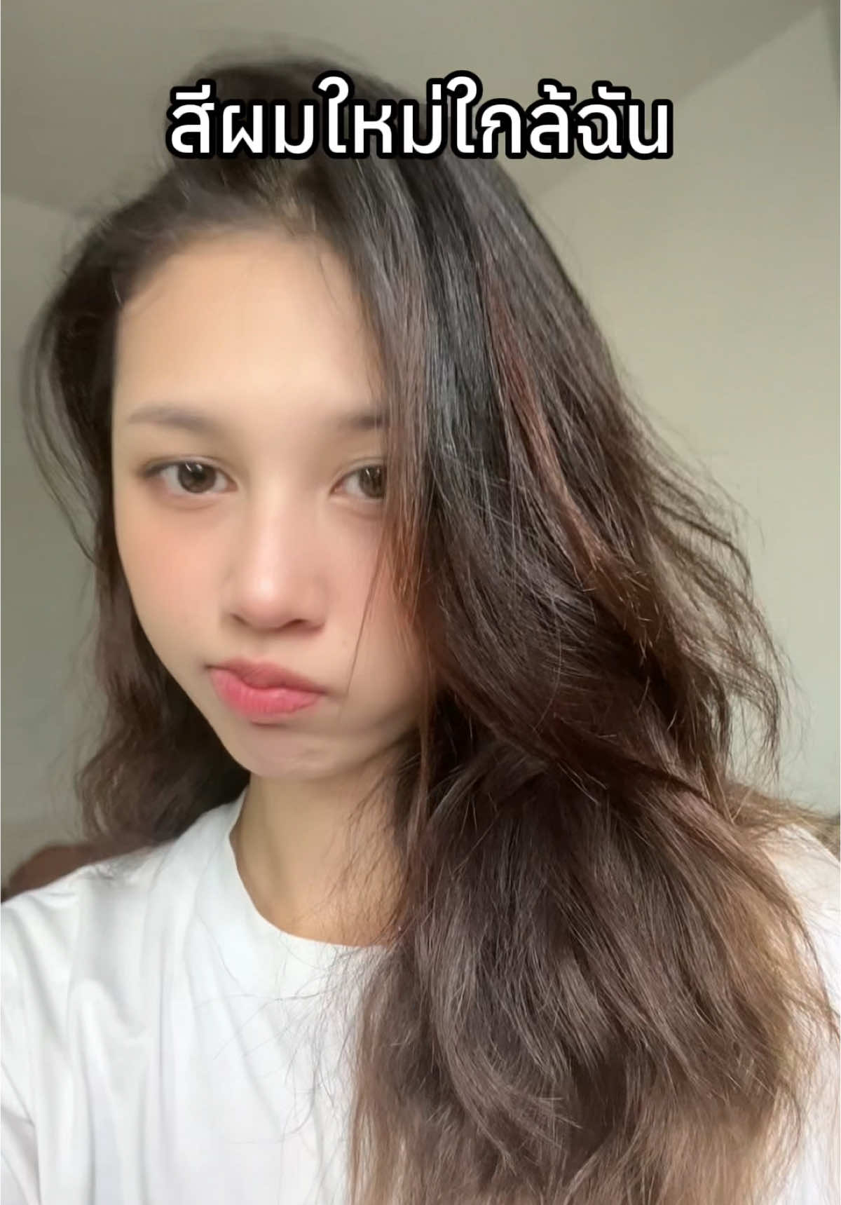 ซัมเมอร์ก็ต้องย้อมผม✨  #ย้อมผมเอง #ย้อมผมไม่กัดสี #GarnierColorMix #GarnierThailand #การ์นิเย่สีข้าวปุ้นไม่ใช่ข้าวปั้น #รีวิวสีผมการ์นิเย่ #HairColor 