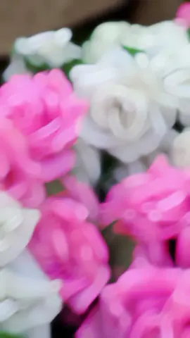 #CapCut My heart is,and always will be yours 🫵🤭@𝓒𝓱 𝓐𝓻𝓼𝓵𝓪𝓷 𝓑𝓱𝓪𝓽𝓽 