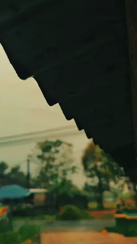 أليست اقدارنا مكتوبة، فلماذا لا نمشي بهدوء ؟؟ 