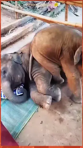 ❤️🙂#brothers #fypviraltiktok🖤シ゚☆♡ 