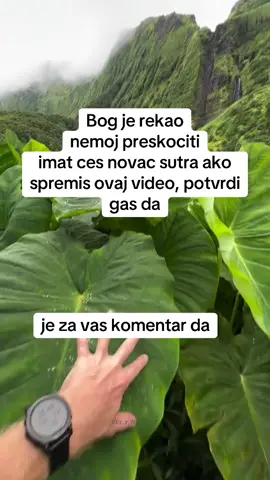 WhatsApp link na biografiju za rezerviranje čitanja ili bacanje bilo koje čarolije, povratne ili ljubavne čarolije itd....#lovespell #getexback #exback#spirituality #explorepage #fyp #croatia🇭🇷 #slovenia🇸🇮 #serbia🇷🇸  #bosnia🇧🇦 #viral##tarotkarten #kartenlesen #liebeskartenlesen #liebesmagie #kartenlegen #wahrsager #hellseher #orakel #orakelbotschaft #spirituell®️ #tarotkartenlegung #liebesorakel #magie ##liebeslegung #liebesorakel #spirituell #tarotkartenlegung #tarotkarte #orakel #orakelbotschaft #liebeskartenlesen #magie #liebestarot #liebeszauber 