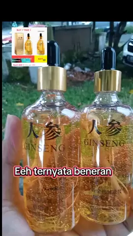 serum ginseng korea#serum #serumwajah #serumwajahglowing #penghilangkerutan #nodahitam #skincareroutine #promo #promobeli1gratis1 #cuantanpabatas✅ 