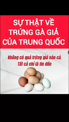 Sự thật về trứng gà giả Trung Quốc #xuhuong #xuhuongtiktok 