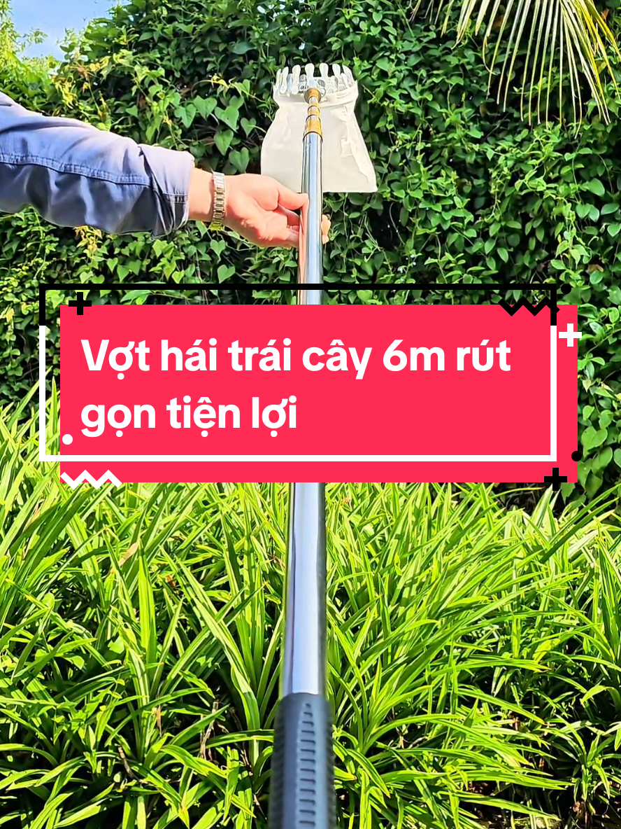 Vợt hái trái cây 6m rút gọn tiện lợi, chất liệu inox.Dụng cụ hái trái cây trên cao. #vothaitraicay #vothaitraicaytrencao #dungcuhaitraicay #longhaitraicay 