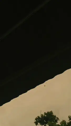 -بعد أن تقول أشياء سيئة عني، من فضلك صلي من أجلي لأكون كاملاً مثلك- -selepas berkata buruk tentang ku , tolong doakan aku agar sempurna seperti dirimu-.  #sholawat #banjari #gusilhampasuruan #pfyp 