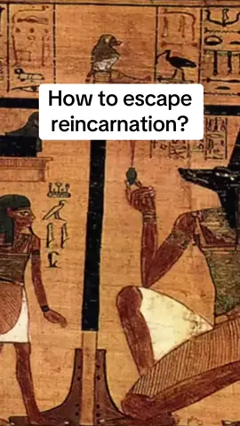 Link in my bio for the Book Of Wisdom Volume I & II Limited stock 📖 #awakening #spirituality 