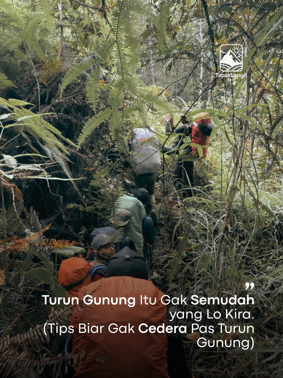Banyak yang ngerasa kuat pas turun gunung, tapi malah cedera. Turun itu soal teknik, bukan cepet-cepetan. Simpan tips ini biar lo gak jadi korban berikutnya. 🥾🏞️ #fyp #capcut #PendakiCerdas #TipsPendakian #TapakLangitTrip #turungunung #pendakigunung #tipsnaikgunung  #hikingtips #pendakiindonesia #mountainlife #trekkingindonesia #tapaklangittrip 