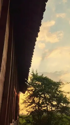 عندما تكون صادقًا مع الموقف، فهذا هو المكان الذي يخطط الله فيه السعادة. 