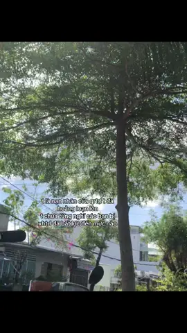gửi ngàn cái ômm🫂