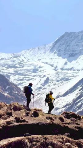 G7 = ❌ Annapurna Bas Camp = ✅ #annapurnabasecamp #himalaya #nepal #Hiking 