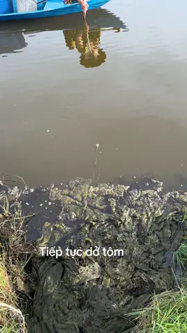 Tiếp tục dở tôm ❤️❤️❤️🥰🥰🥰❤️