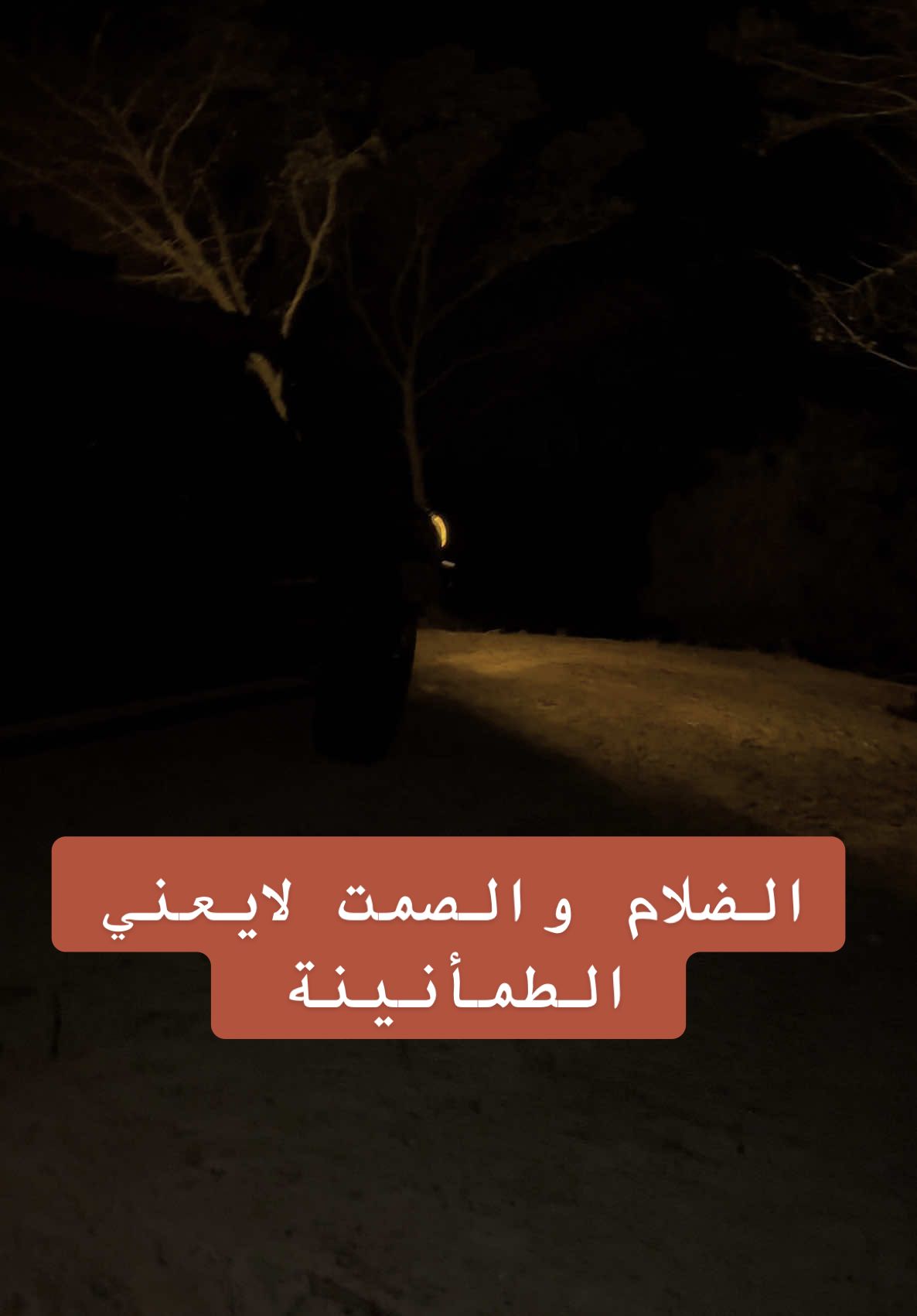 غابات 🌳 كثيفة الأشجار والظلام الدامس والصمت القاتل والوحدة تدفعك إلي الجنون هنا فقط تستطيع أن تسمع صوت عقلك الباطن ومن هنا تبدأ رحلة جديدة في عالم جديد #غابات #ظلام #صمت #عقلك #creatorsearchinsights #creatorsearchinsights2025 #viralvideos #ليبيا 