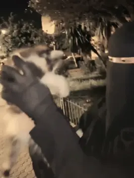 🤍🦋#CapCut #fyyyyyyyyyyyyyyyy #viral_video #fouryou #morocco #niqab #الشعب_الصيني_ماله_حل😂😂 #اكسبلور #الحمدلله_دائماً_وابداً 