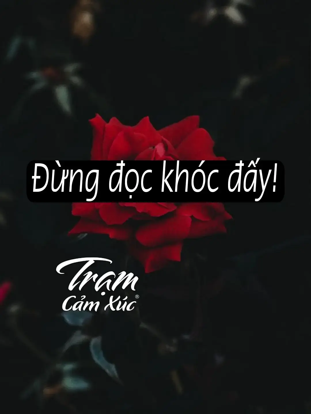 Gửi em - người anh vẫn luôn nhớ, dù đã chẳng còn là của anh nữa, Anh không biết tại sao hôm nay, giữa những bộn bề quen thuộc, trái tim lại nhói lên một cách lặng lẽ khi nghĩ về em. Có lẽ vì anh đã giữ trong lòng quá lâu, quá nhiều điều muốn nói... nhưng rồi lại im lặng, vì anh không còn quyền được nói với em bất cứ điều gì nữa.  Em biết không, anh vẫn nhớ em. Không phải kiểu nhớ bồng bột như ngày mới chia xa, mà là nỗi nhớ đã ngấm vào tim, âm thầm nhưng dai dẳng. Như thể chỉ cần nhắm mắt lại, anh vẫn có thể hình dung ra ánh mắt em, giọng nói em, và cả nụ cười từng khiến anh tin răng anh là người hạnh phúc nhất thể gian.  Chúng ta đã từng có tất cả, rồi lại lạc mất nhau như chưa từng bắt đầu. Anh không còn trách em, cũng chẳng trách duyên phận. Anh chỉ tiếc... tiếc vì chúng ta đã từng yêu nhau nhiều đến vậy, mà cuối cùng lại không thể giữ được nhau.  Anh biết, giờ em đã đi xa rồi - không chỉ là khoảng cách, mà là cả một đời sống khác, một người khác đang cùng em đi tiếp đoạn đường mà anh từng mơ được đi cùng.  Anh biết, anh không còn là một phần trong những câu chuyện em kể, không còn là người được em nghĩ đến mỗi khi mỏi mệt. Biết hết... nhưng vẫn đau.  Anh từng nghĩ, thời gian sẽ làm anh quên. Nhưng hóa ra, thời gian chỉ khiến anh học cách giấu nỗi nhớ kỹ hơn, cười bình thản hơn, dù trong lòng vẫn có một khoảng trống không ai có thể lấp đầy - khoảng trống mang tên em.   Anh viết những dòng này không để anh quay lại, càng không để khiến anh áy náy. Anh chỉ muốn một lần, được thành thật với chính mình. Rằng dù cả thế giới có quay lưng lại, anh vẫn từng yêu em bằng cả trái tim. Và dù em có thuộc về nơi nào khác, có hạnh phúc bên ai, thì anh vẫn sẽ lặng lẽ mang theo tình cảm ấy, như một mảnh ký ức thiêng liêng không ai có thể chạm vào.  Nếu một ngày nào đó em tình cờ đọc được những dòng này, chỉ cần em biết - có một người, ở đâu đó, vẫn nhớ em băng tất cả dịu dàng từng có. Tạm biệt em - và cũng là tạm biệt một phần tim anh chưa bao giờ dám buông bỏ.#stt_tâm_trạng_buồn