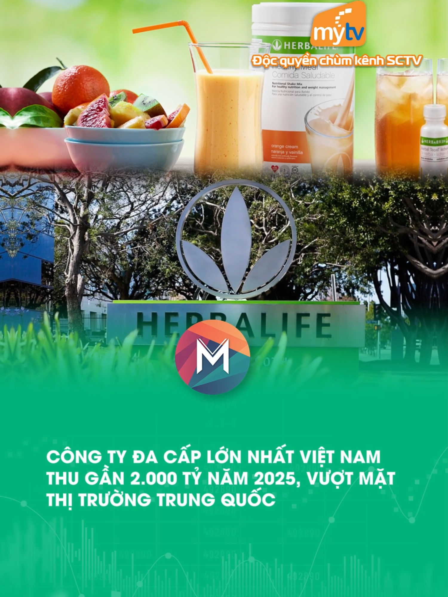 Công ty đa cấp lớn nhất Việt Nam thu gần 2.000 tỷ năm 2025, vượt mặt thị trường Trung Quốc #metamultimedia #metamultimediagroup #metakinhte #kenh7 #mytv #sctv #vnpt #vinaphone #kinhte #herbalife #doanhthu #vietnam