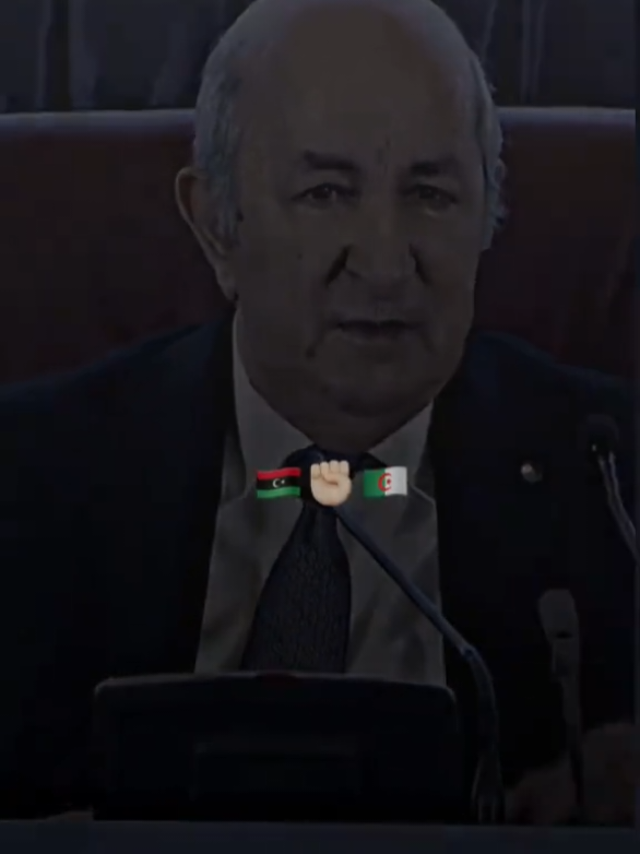 سنتضمان معا ليبيا حتى تاخذ حقها في الاستقرار 🇩🇿🇱🇾 #عبد_المجيد_تبون #ليبيا🇱🇾 #الجزائر #تونس 