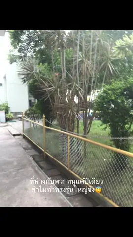 นึกว่าเจ้าของโรงเรียน😇#fyp #ฟีดดด #เธรด #012 #ยกเลิกเปิดเทอม #ฝันร้ายเปิดเทอม 