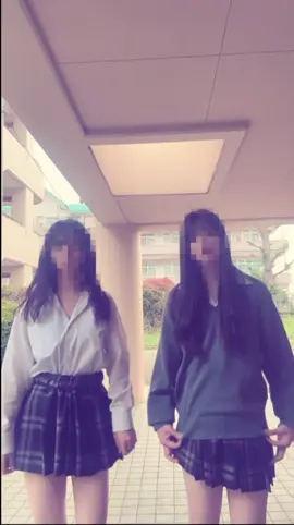 いぬそーりー#fypppppppp #おすすめにのりたい #fjk #足立西jk 