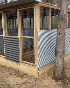 Low Cost Chicken Coops 