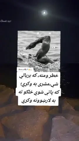 #afghanistan🇦🇫 #ژوند_په_مينه_ښکلى_دي #foryoupage❤️❤️ #🌹🥰♥️♥️ #ژوندی_دې_وي_لوی_افغانستان 