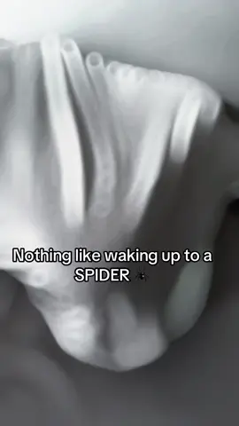 Sadly no spiders were harmed whiling fliming this bc he got away….yep I’m gonna be terrified to sleep tonight #spiders #newfearunlocked #somebodyswatchingme #bedtime #sleep #scary #fyp #fypシ 