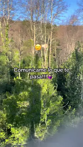 #paratiiiiiiiiiiiiiiiiiiiiiiiiiiiiiii 