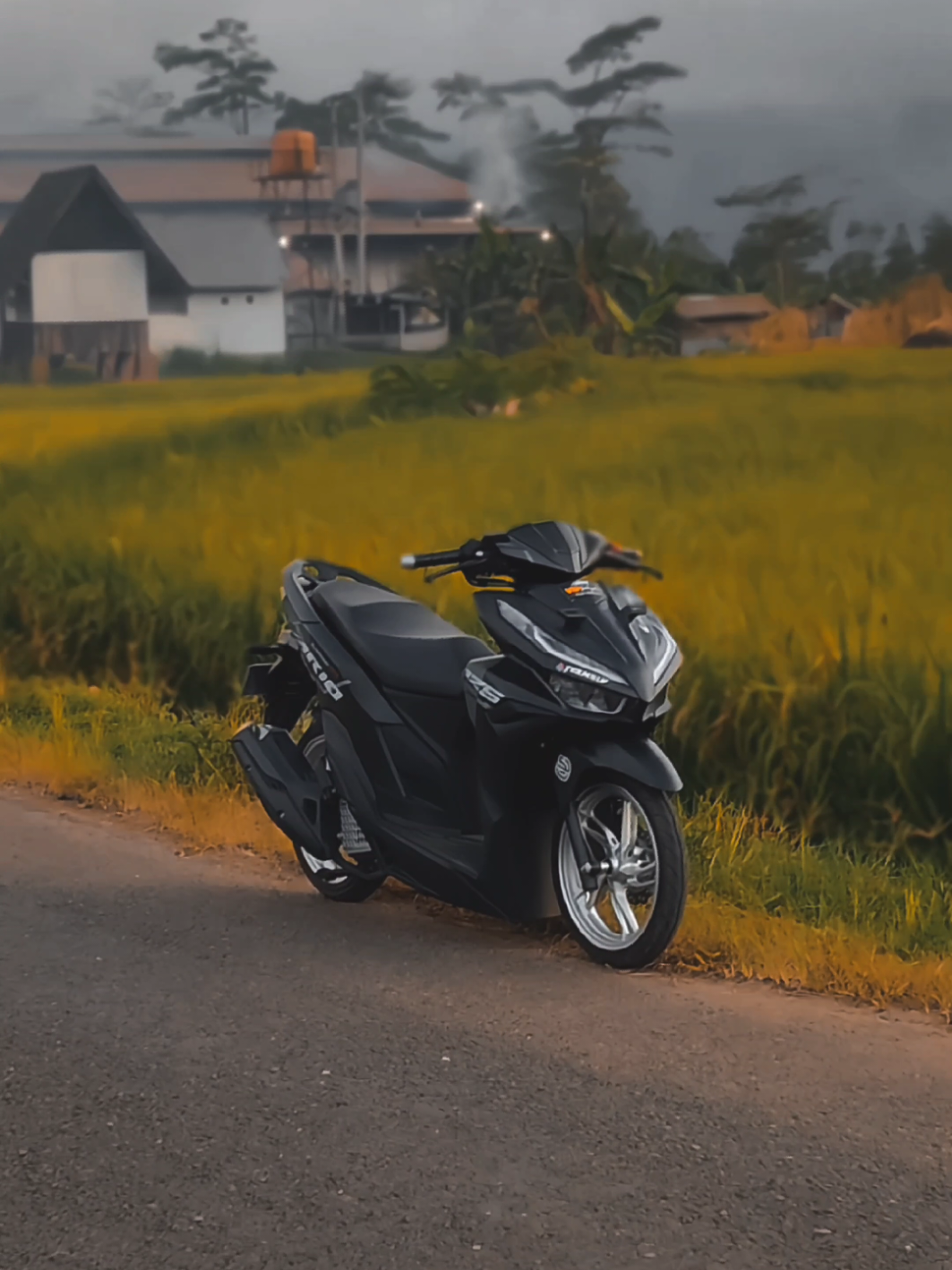 otw balik std #fypシ゚ #vario #vario125 #vario125new #fyp #foryoupage 