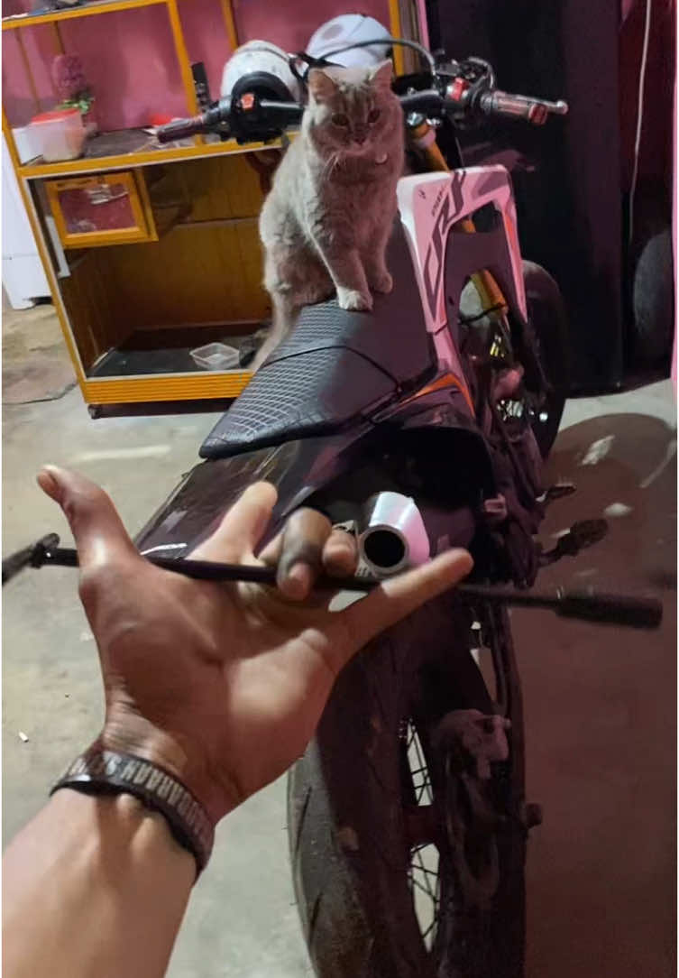 🤓😭 #lampung24jam🏴‍☠️ #trend 