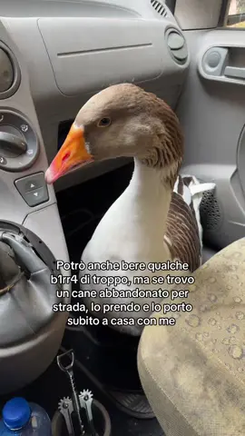 L’apribottiglie è un tocco di classe ✨ #viral #perte #cane #noallabbandono #dolores #goose #oca 