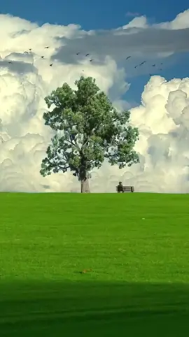 Novocaine song #CapCut #novocaine #cinematography #videography #us #usa_tiktok #templatecapcut #frypage #lyrich #fyp 