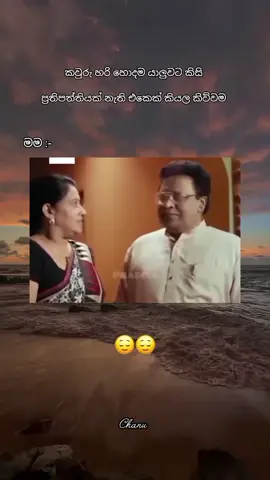 😌😌 #fyp #foryou #foryoupage #trend#trending #trend #viral #viralvideo #viraltiktok #worldviraltiktok #onemillionaudition #blacky🖤 #gemcity💎 #srilankan_t
