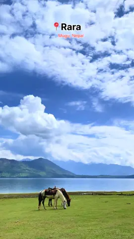Rara lake also known as mahendra lake mugu,Nepal🇳🇵                     #welcometozordyycity #raralake #mugu #capture #explore #explorenepal #nature #beauty #TravelNepal #nature #reels #nepal #foryoupage 