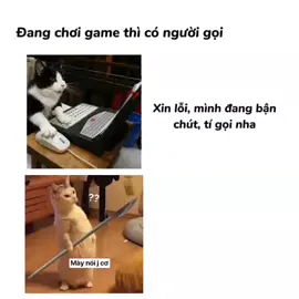 gọi qq